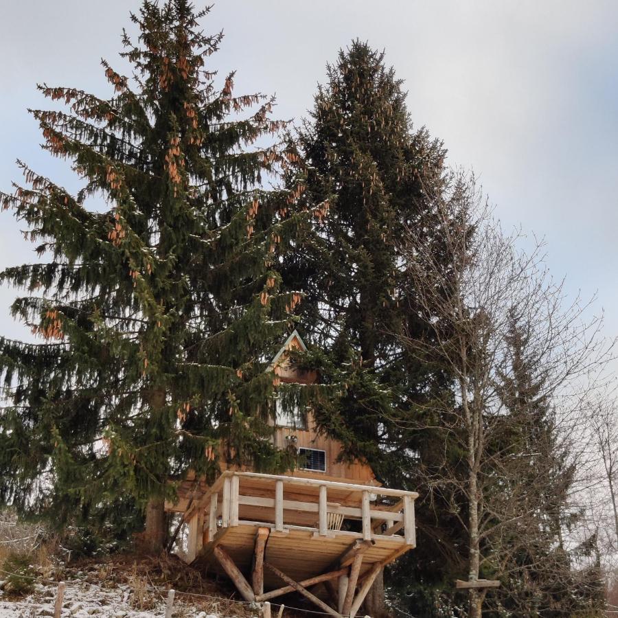 Zen Among The Trees Villa Stahovica Kültér fotó